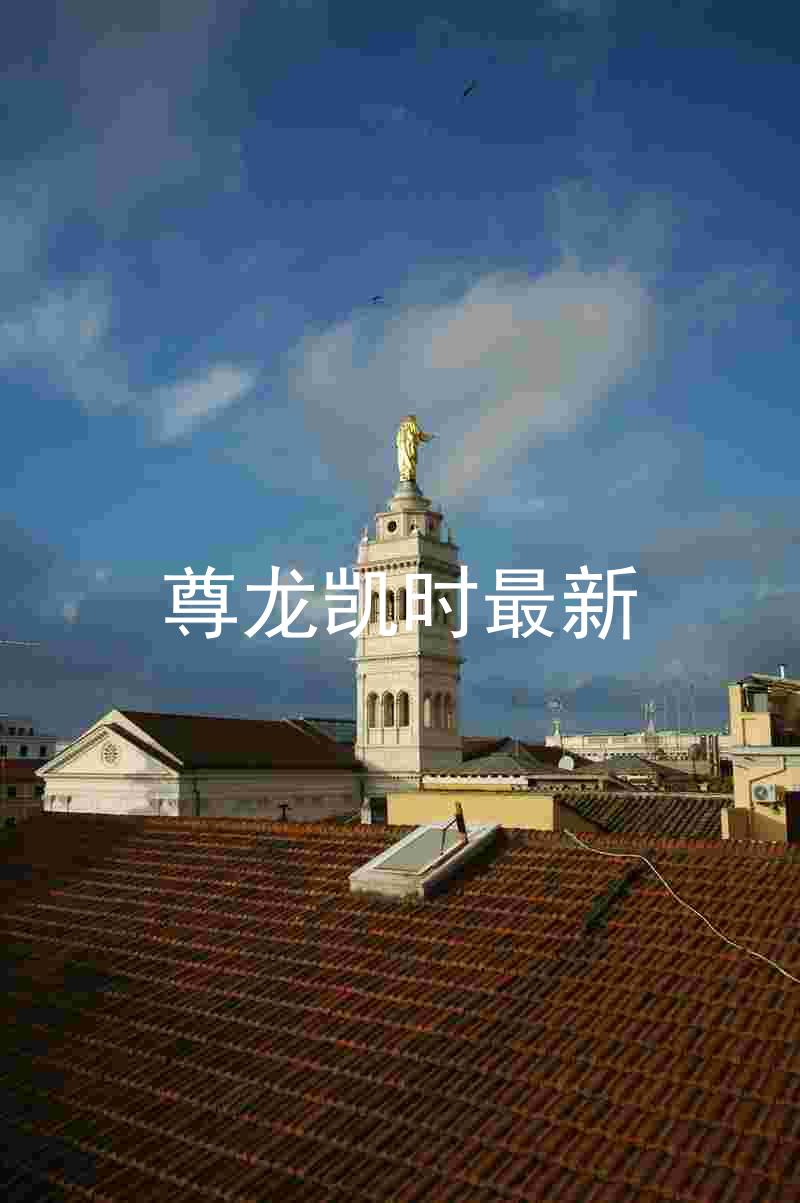 尊龙凯时最新