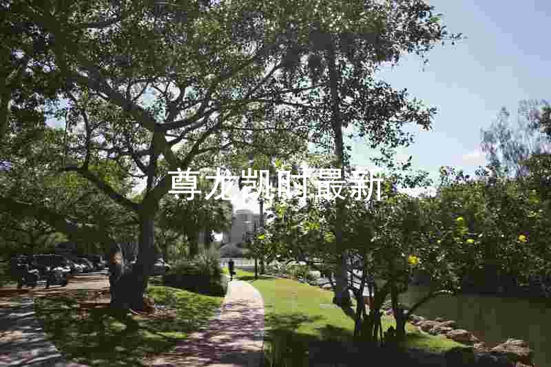尊龙凯时最新