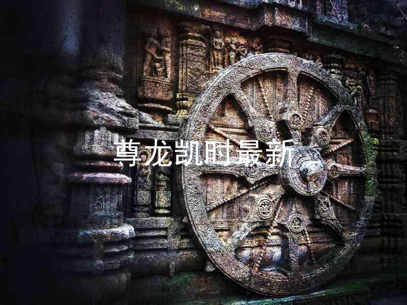 尊龙凯时最新