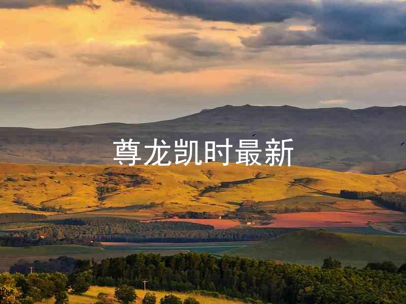 尊龙凯时最新